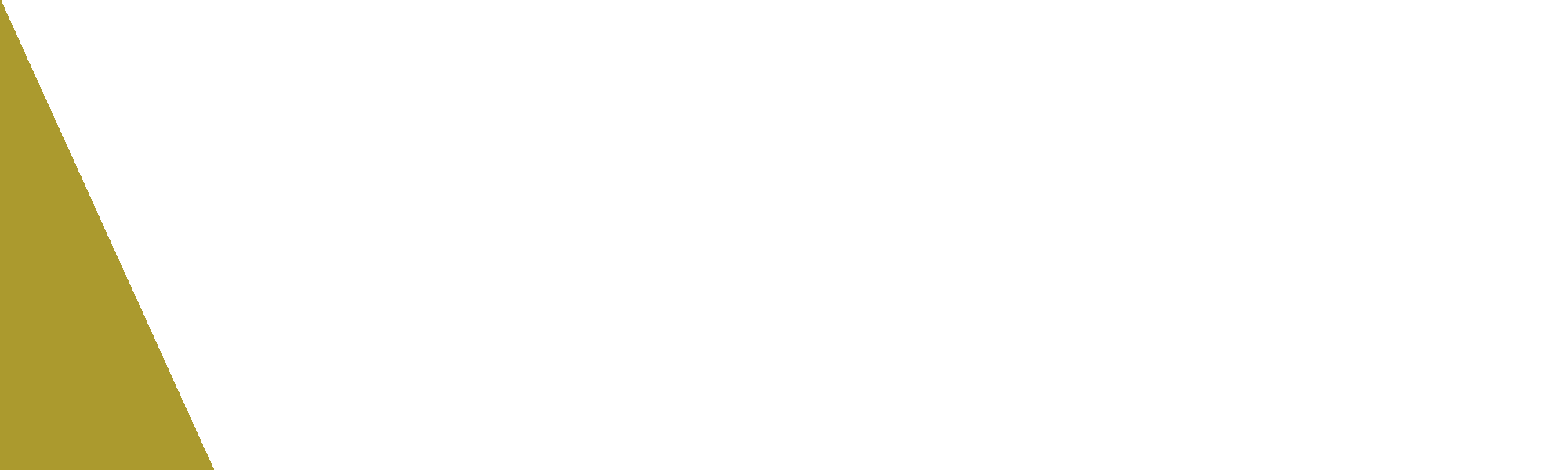 Parallax Image